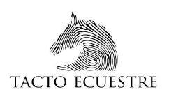 Imagen de Tacto Ecuestre