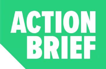 Imagen de ACTION BRIEF