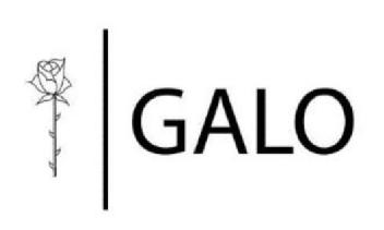 Imagen de GALO