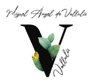 Imagen de Miguel Ángel de Vallulis V Vallulis