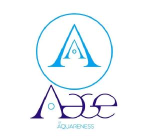 Imagen de AAGE OF AQUARENESS