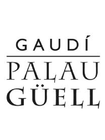 Imagen de GAUDÍ PALAU GÜELL