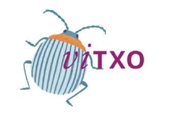 Imagen de VITXO