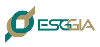 Imagen de ESGGIA