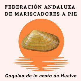 Imagen de FEDERACION ANDALUZA DE MARISCADORES A PIE COQUINA DE LA COSTA DE HUELVA