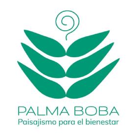 Imagen de PALMA BOBA paisajismo para el bienestar