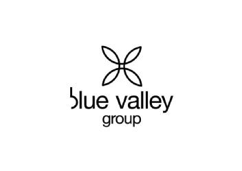 Imagen de BLUE VALLEY GROUP