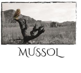 Imagen de MUSSOL