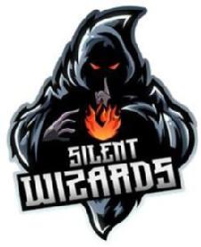 Imagen de SILENT WIZARDS