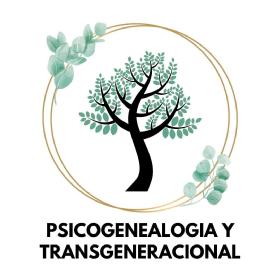 Imagen de Psicogenealogia y transgeneracional