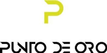 Imagen de P PUNTO DE ORO