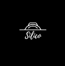 Imagen de Silico