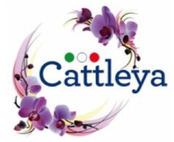 Imagen de CATTLEYA