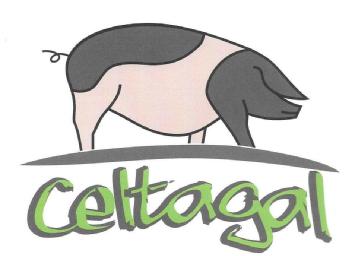 Imagen de CELTAGAL