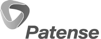 Imagen de PATENSE
