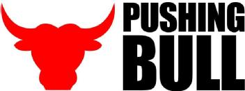 Imagen de PUSHINGBULL
