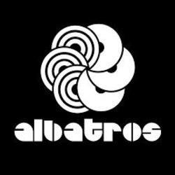 Imagen de albatros