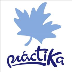 Imagen de Práctika
