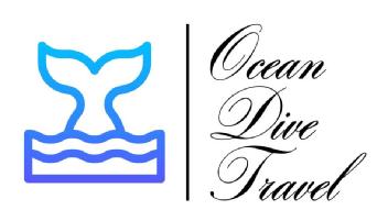 Imagen de Ocean Dive Travel