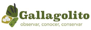 Imagen de Gallagolito observar, conocer, conservar
