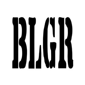 Imagen de BLGR