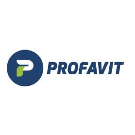 Imagen de P PROFAVIT