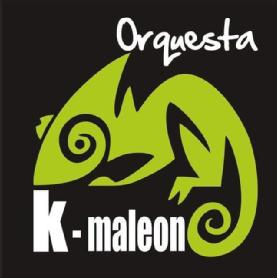 Imagen de Orquesta K-maleon
