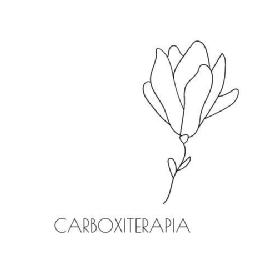 Imagen de CARBOXITERAPIA