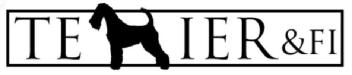 Imagen de T E I E R & F I