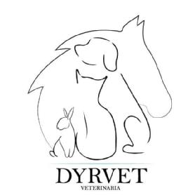 Imagen de DYRVET VETERINARIA