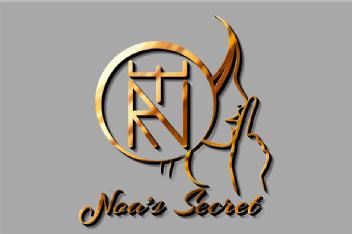 Imagen de Noa's Secret
