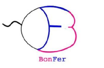 Imagen de BONFER