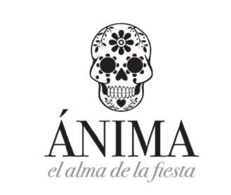 Imagen de ÁNIMA EL ALMA DE LA FIESTA