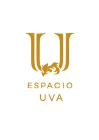 Imagen de ESPACIO UVA