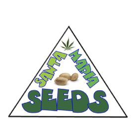 Imagen de SEEDS SANTA MARIA