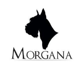 Imagen de Morgana
