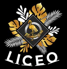 Imagen de Liceo Flamingos Original Dance Style