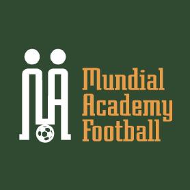 Imagen de Mundial Academy Football