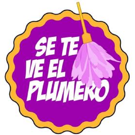 Imagen de SE TE VE EL PLUMERO