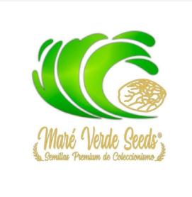 Imagen de Maré Verde Seeds Semillas Premium de Coleccionismo