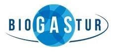 Imagen de BIOGASTUR