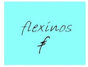 Imagen de FLEXINOS