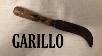 Imagen de GARILLO