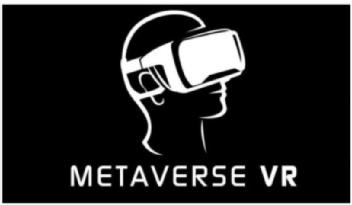 Imagen de METAVERSE VR, FIG