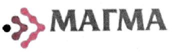 Imagen de MAGMA.