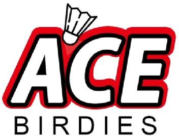 Imagen de ACE BIRDIES