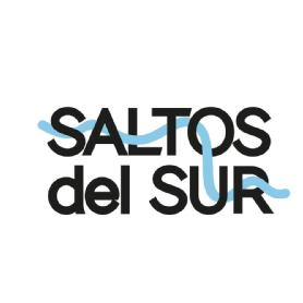 Imagen de SALTOS DEL SUR