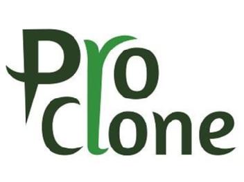 Imagen de PRO CLONE