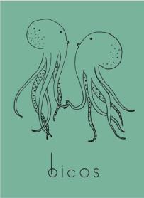 Imagen de bicos