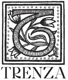 Imagen de T TRENZA